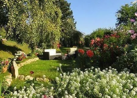 Cosmea In Διαμέρισμα *