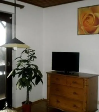 Cosmea In Apartment Millstatt
